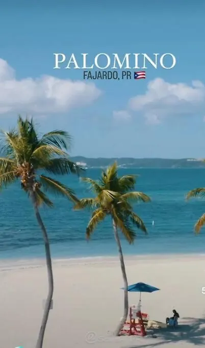 Private Penthouse Paradise Ceiba Σπίτι διακοπών